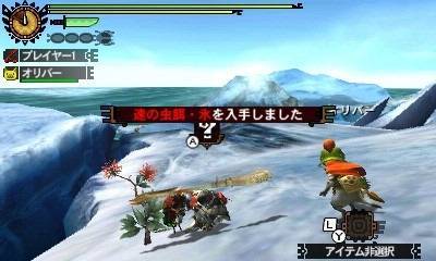 Monster Hunter 4 : quelques images