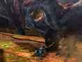 Monster Hunter 4 : quelques images