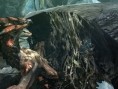 Monster Hunter 4 : quelques images