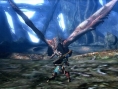 Monster Hunter 4 : quelques images