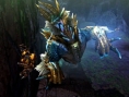 Monster Hunter 4 : quelques images