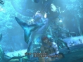Final Fantasy X & X-2 HD : une brouette d'images
