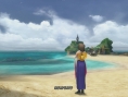 Final Fantasy X & X-2 HD : une brouette d'images