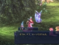 Images Ys : Foliage Ocean in Celceta