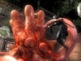 Ninja Gaiden Sigma : grosse fournée d'images