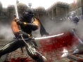 Ninja Gaiden Sigma : grosse fournée d'images