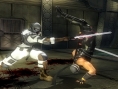 Ninja Gaiden Sigma : grosse fournée d'images