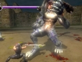 Ninja Gaiden Sigma : le plein d'images
