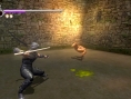 Ninja Gaiden Sigma : le plein d'images