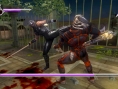Ninja Gaiden Sigma : le plein d'images