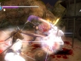 Images Ninja Gaiden Sigma Plus