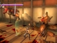 Images Ninja Gaiden Sigma Plus