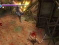 Images Ninja Gaiden Sigma Plus