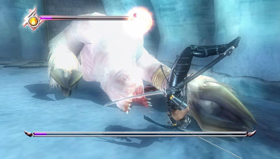 Images Ninja Gaiden Sigma Plus
