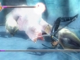 Images Ninja Gaiden Sigma Plus