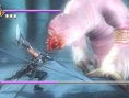 Images Ninja Gaiden Sigma Plus