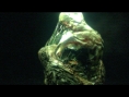 Captivate 12 : images Resident Evil 6