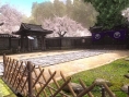 Dead or Alive 5 : images et collector