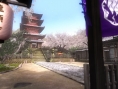 Dead or Alive 5 : images et collector
