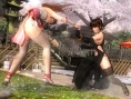 Dead or Alive 5 : images et collector