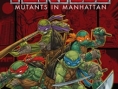 Nouvel indice sur le jeu Tortues Ninjas de Platinum