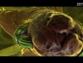 Screens Nano Assault
