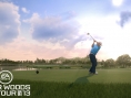 Screens Tiger Woods PGA Tour 2013
