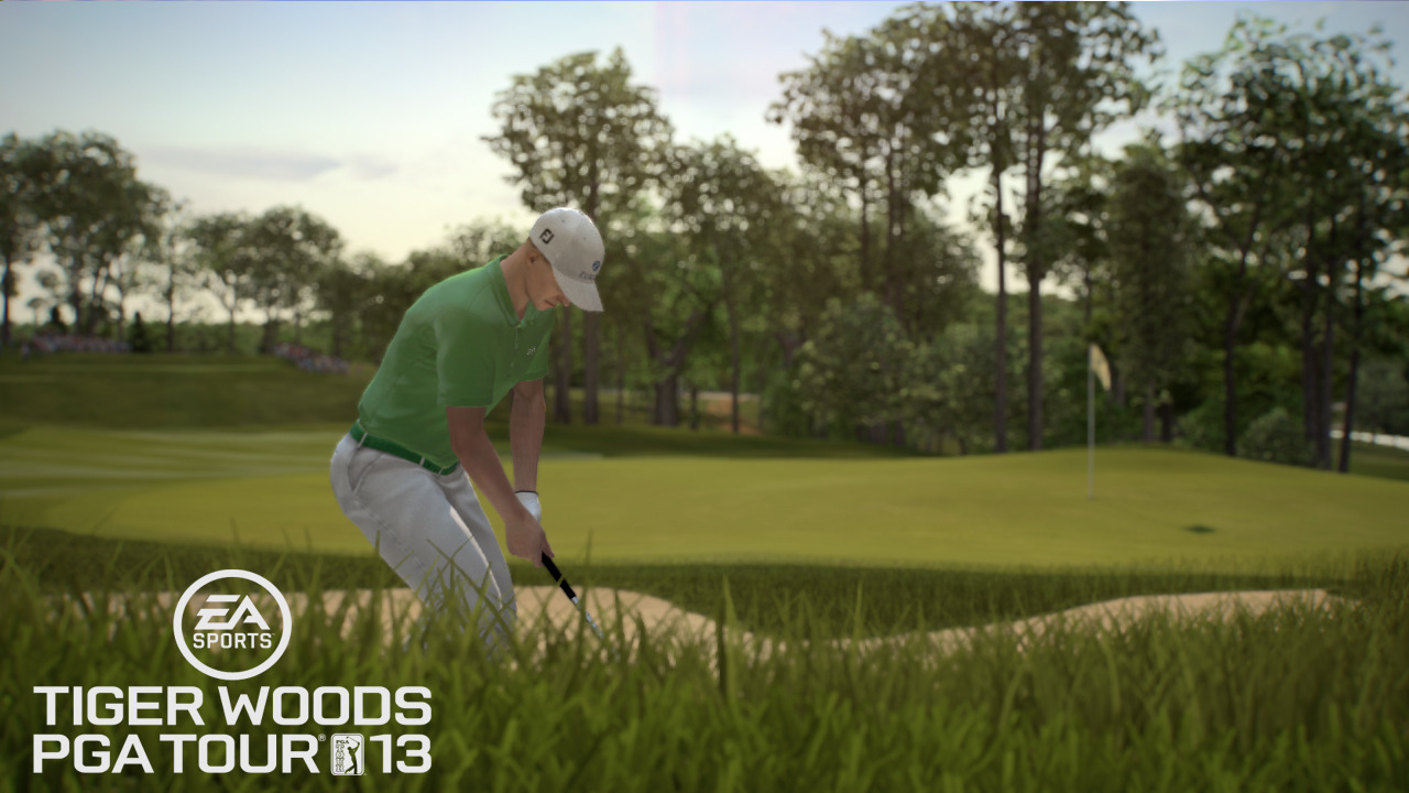 Images Tiger Woods PGA Tour 2013