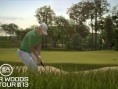 Screens Tiger Woods PGA Tour 2013