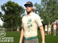 Screens Tiger Woods PGA Tour 2013