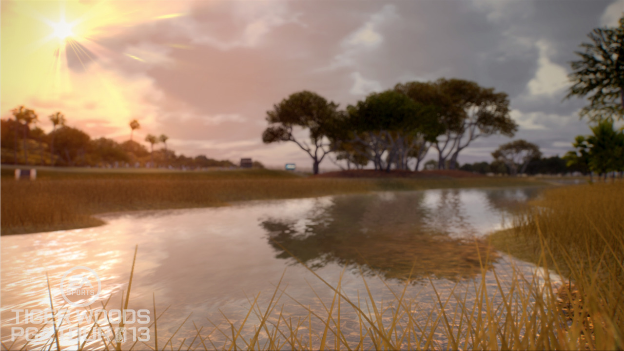 Images Tiger Woods PGA Tour 2013