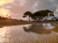 Screens Tiger Woods PGA Tour 2013
