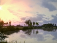 Screens Tiger Woods PGA Tour 2013