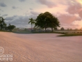 Screens Tiger Woods PGA Tour 2013