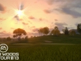 Screens Tiger Woods PGA Tour 2013