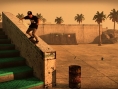 Images Tony Hawk's Pro Skater HD