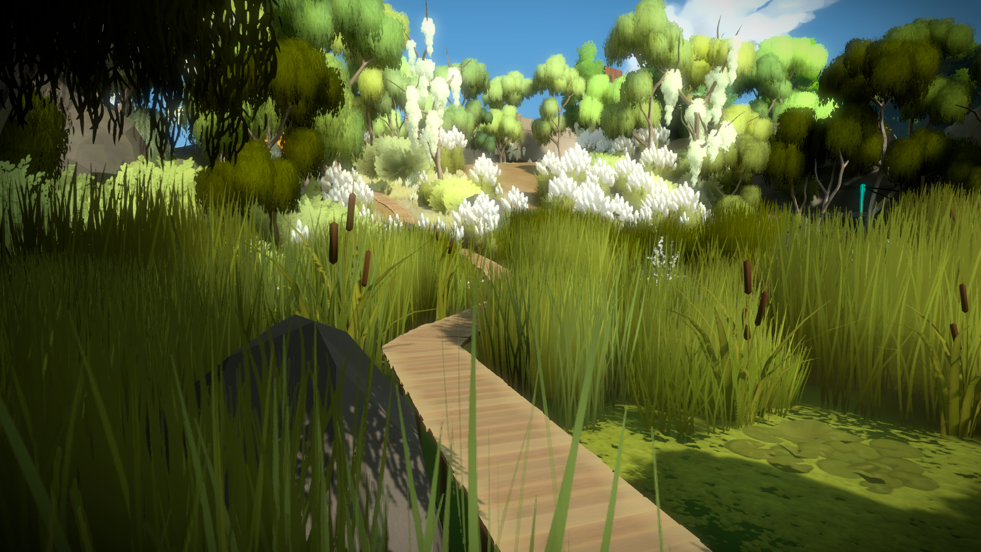 The Witness : objectif 1080p-60FPS sur PS4