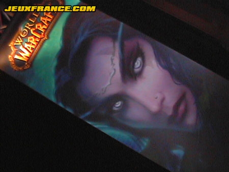 WCG France 2004