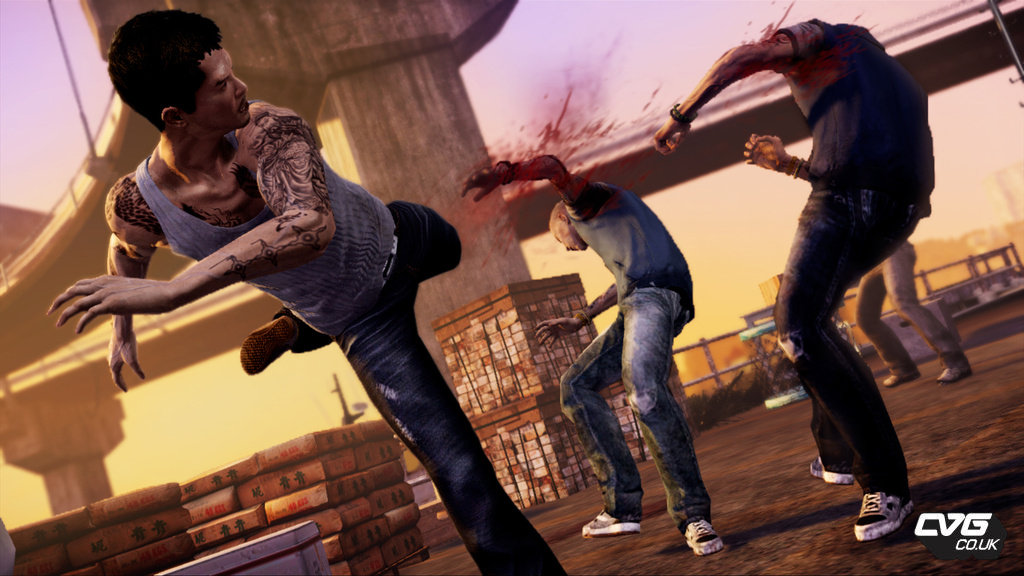 Screens Sleeping Dogs