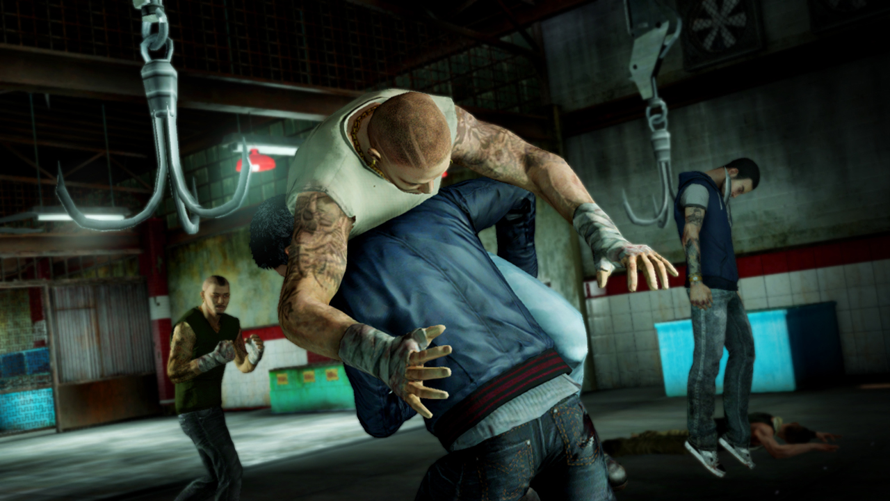 Screens-Video Sleeping Dogs