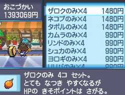 Pokémon N&B2 : le plein d'images