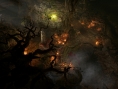 Le plein d'images pour Baldur's Gate III
