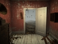 Datura : des images pour la sortie