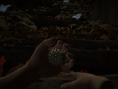 Datura : des images pour la sortie