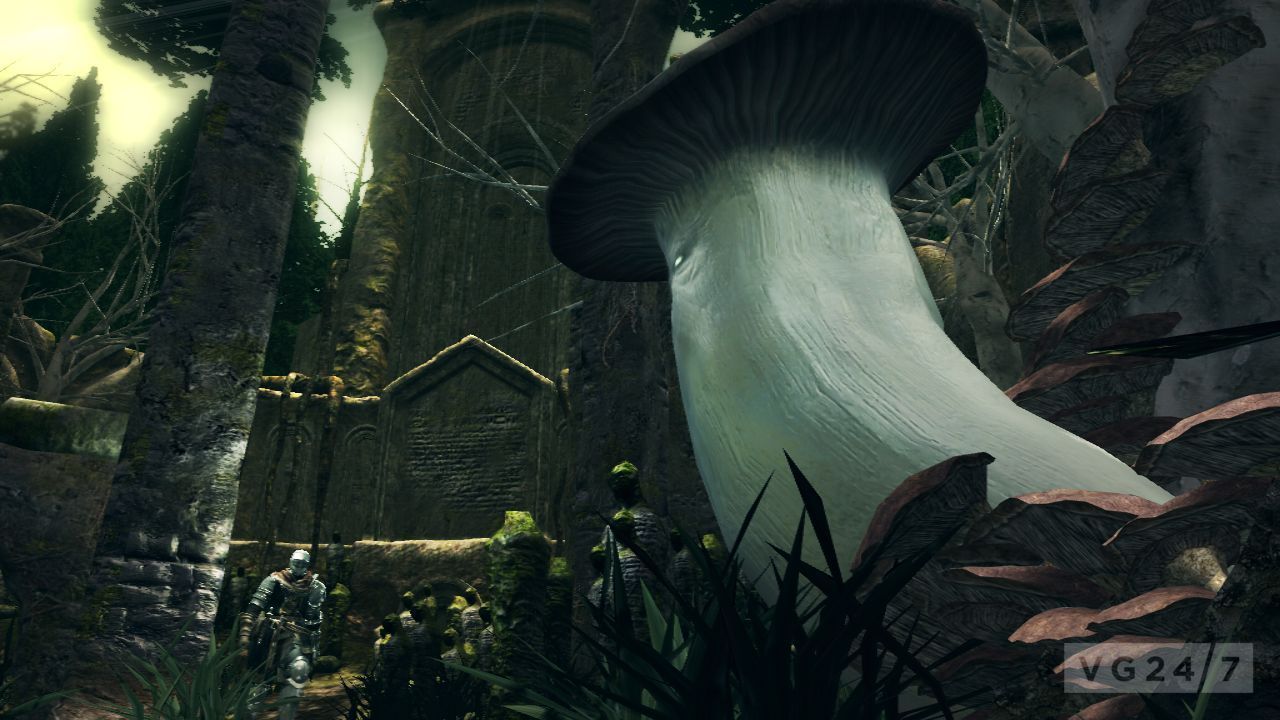 Screens Dark Souls PC