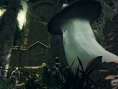 Dark Souls (PC) : images et packaging
