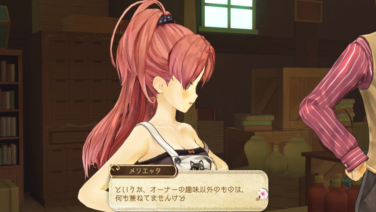 Screens-Videos Atelier Ayesha