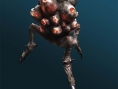 Images Lost Planet 3
