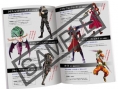 Project X Zone : une petite édition limitée