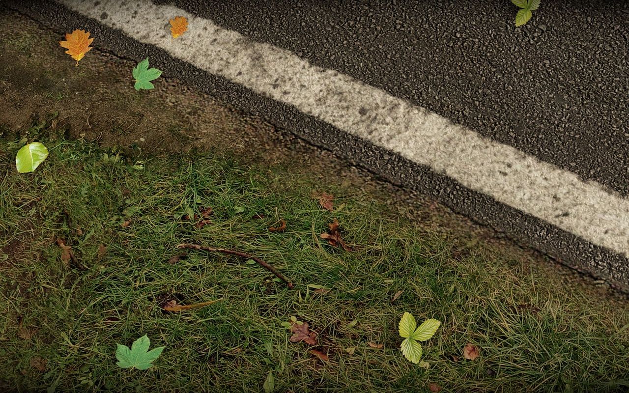 Project CARS : le plein d'images